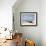 Forgotten Sailboat-Zhen-Huan Lu-Framed Giclee Print displayed on a wall