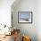 Forgotten Sailboat-Zhen-Huan Lu-Framed Giclee Print displayed on a wall