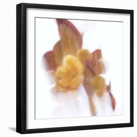 Forgotten Shadows-Jacob Berghoef-Framed Photographic Print