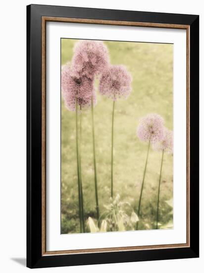 Forgotten Summer-Mindy Sommers-Framed Giclee Print