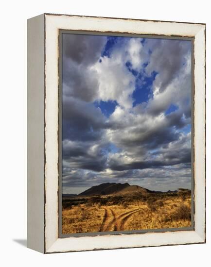 Fork in the road at sunset, Samburu Game Reserve, Kenya-Adam Jones-Framed Premier Image Canvas