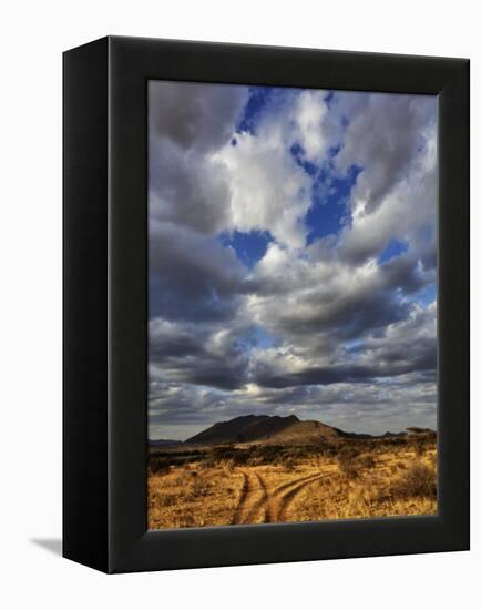 Fork in the road at sunset, Samburu Game Reserve, Kenya-Adam Jones-Framed Premier Image Canvas