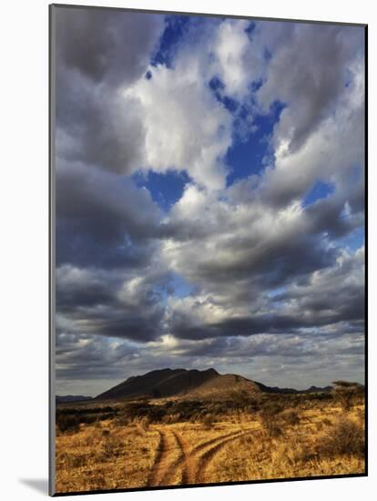 Fork in the road at sunset, Samburu Game Reserve, Kenya-Adam Jones-Mounted Photographic Print