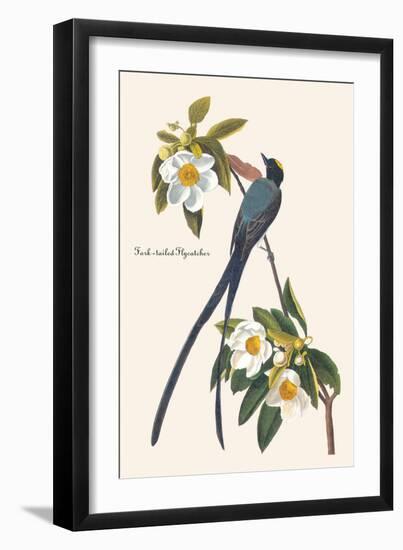 Fork-Tailed Flycatcher-John James Audubon-Framed Art Print