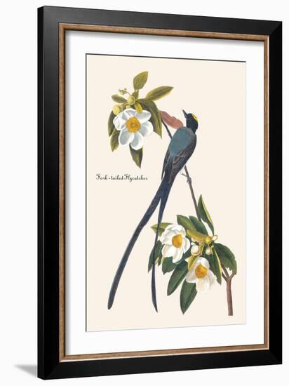 Fork-Tailed Flycatcher-John James Audubon-Framed Art Print