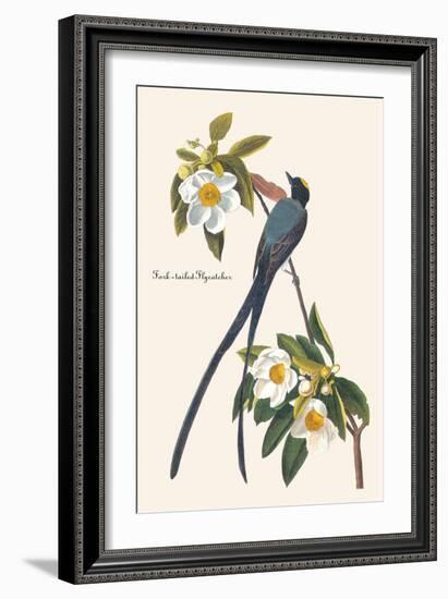 Fork-Tailed Flycatcher-John James Audubon-Framed Art Print