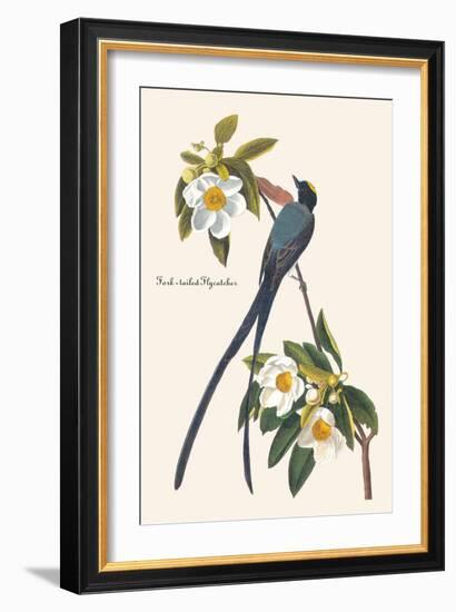 Fork-Tailed Flycatcher-John James Audubon-Framed Art Print