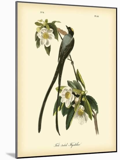 Fork-Tailed Flycatcher-John James Audubon-Mounted Art Print