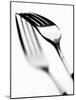 Fork with Shadow-null-Mounted Photographic Print