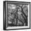 Form of Trees-null-Framed Photographic Print