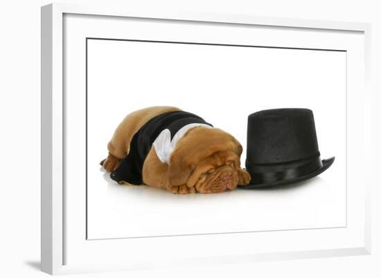 Formal Dog - Dog Dressed Up In Black Suit And Tie Laying Beside Top Hat-Willee Cole-Framed Photographic Print