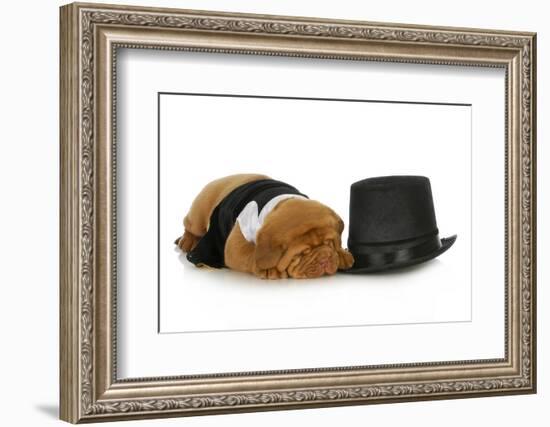 Formal Dog - Dog Dressed Up In Black Suit And Tie Laying Beside Top Hat-Willee Cole-Framed Photographic Print