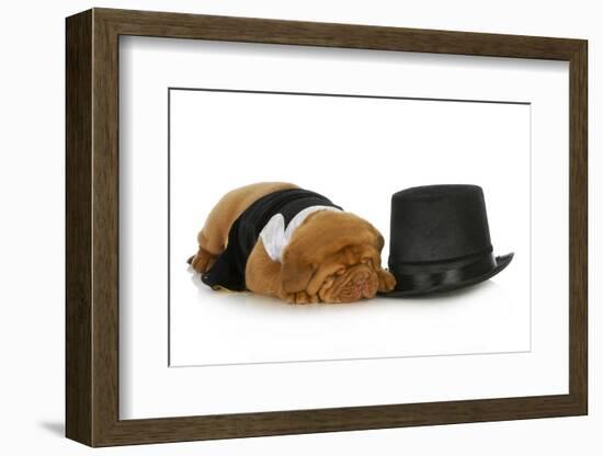 Formal Dog - Dog Dressed Up In Black Suit And Tie Laying Beside Top Hat-Willee Cole-Framed Photographic Print