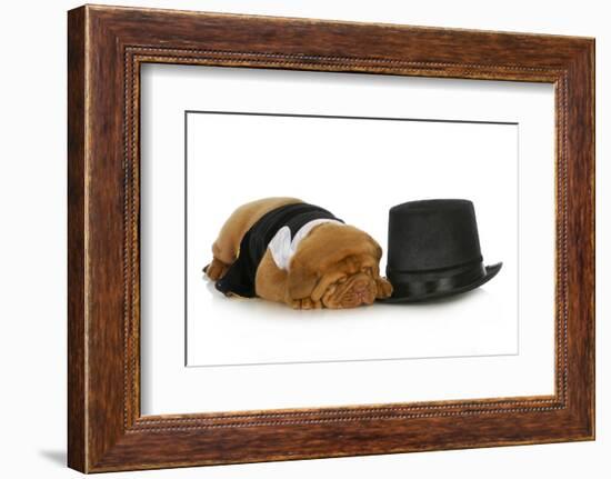 Formal Dog - Dog Dressed Up In Black Suit And Tie Laying Beside Top Hat-Willee Cole-Framed Photographic Print