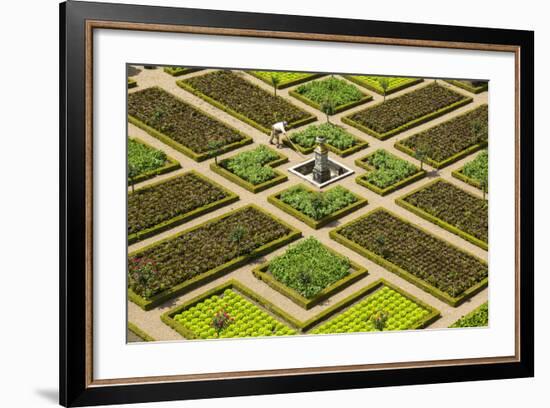 Formal Gardens, Chateau of Villandry, Indre Et Loire, Loire Valley, France-Peter Adams-Framed Photographic Print