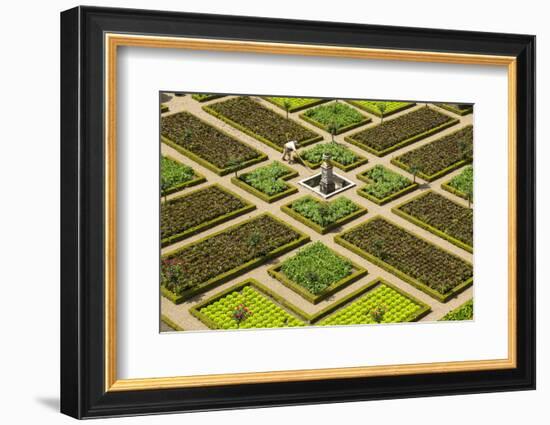 Formal Gardens, Chateau of Villandry, Indre Et Loire, Loire Valley, France-Peter Adams-Framed Photographic Print