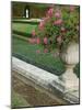 Formal Gardens of Versailles, France-Lisa S. Engelbrecht-Mounted Photographic Print