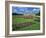 Formal Gardens with Flower Beds in Front of the Schonbrunn Palace, Vienna, Austria-Gavin Hellier-Framed Photographic Print