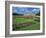 Formal Gardens with Flower Beds in Front of the Schonbrunn Palace, Vienna, Austria-Gavin Hellier-Framed Photographic Print