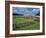 Formal Gardens with Flower Beds in Front of the Schonbrunn Palace, Vienna, Austria-Gavin Hellier-Framed Photographic Print