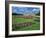 Formal Gardens with Flower Beds in Front of the Schonbrunn Palace, Vienna, Austria-Gavin Hellier-Framed Photographic Print