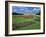 Formal Gardens with Flower Beds in Front of the Schonbrunn Palace, Vienna, Austria-Gavin Hellier-Framed Photographic Print