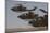 Formation Landing of Ah-1 Tzefa Helicopters from the Israel Air Force-Stocktrek Images-Mounted Photographic Print