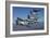 Formation of P-47 Thunderbolts Flying over Chino, California-Stocktrek Images-Framed Photographic Print