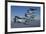 Formation of P-47 Thunderbolts Flying over Chino, California-Stocktrek Images-Framed Photographic Print