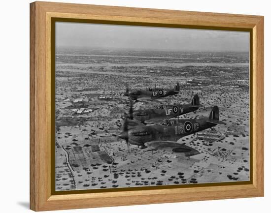 Formation of Spitfires Over North Africa, circa 1943-null-Framed Stretched Canvas