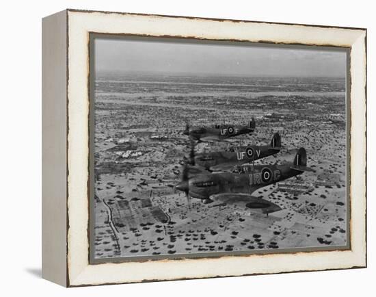 Formation of Spitfires Over North Africa, circa 1943-null-Framed Stretched Canvas
