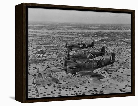 Formation of Spitfires Over North Africa, circa 1943-null-Framed Stretched Canvas