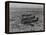 Formation of Spitfires Over North Africa, circa 1943-null-Framed Stretched Canvas