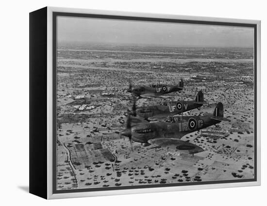 Formation of Spitfires Over North Africa, circa 1943-null-Framed Stretched Canvas