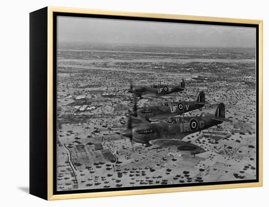 Formation of Spitfires Over North Africa, circa 1943-null-Framed Stretched Canvas