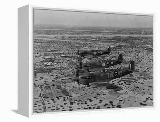 Formation of Spitfires Over North Africa, circa 1943-null-Framed Stretched Canvas