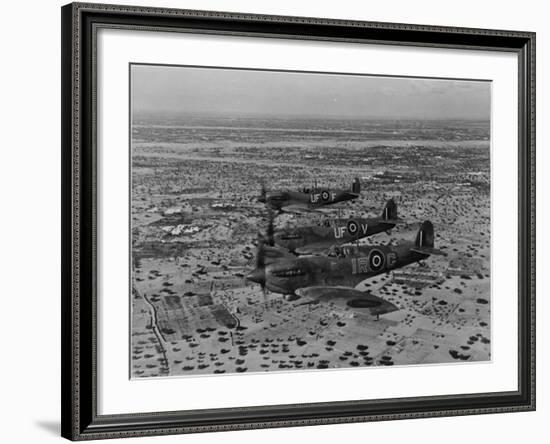 Formation of Spitfires Over North Africa, circa 1943--Framed Photo