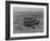 Formation of Spitfires Over North Africa, circa 1943-null-Framed Photo