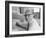 Former Chief of French Intelligence in the Us, Philippe Thyraud De Vosjoli-Alfred Eisenstaedt-Framed Photographic Print