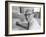 Former Chief of French Intelligence in the Us, Philippe Thyraud De Vosjoli-Alfred Eisenstaedt-Framed Photographic Print