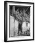 Former GI Ernest Kreiling Showing His Bride the Hayloft Where He Spent Thanksgiving 1944-null-Framed Photographic Print