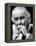 Former President Lyndon Johnson Resumed Smoking after He Left the Presidency-null-Framed Stretched Canvas