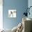 Formosan Blue Magpie-Chris Paschke-Premium Giclee Print displayed on a wall