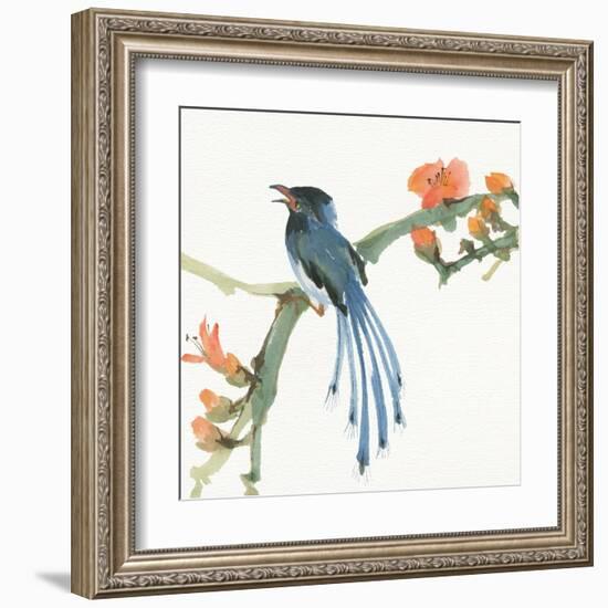 Formosan Blue Magpie-Chris Paschke-Framed Art Print