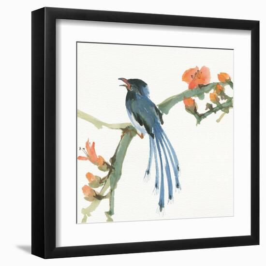 Formosan Blue Magpie-Chris Paschke-Framed Art Print