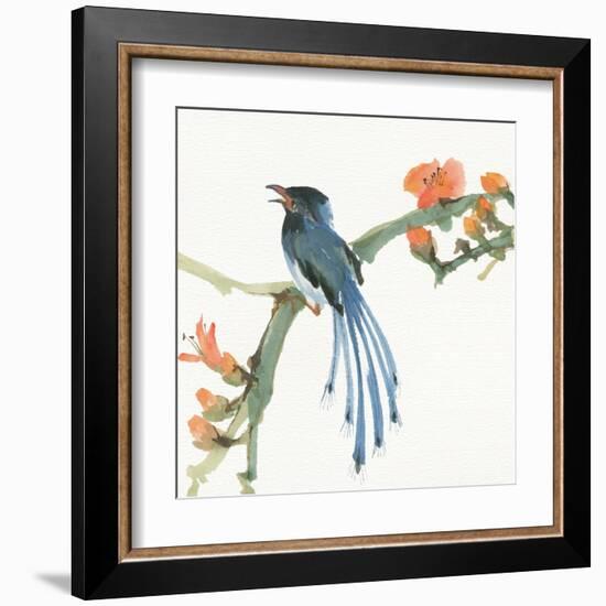 Formosan Blue Magpie-Chris Paschke-Framed Art Print