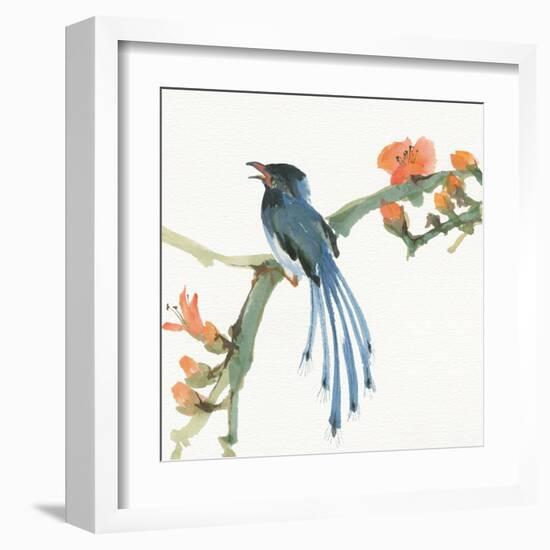 Formosan Blue Magpie-Chris Paschke-Framed Art Print