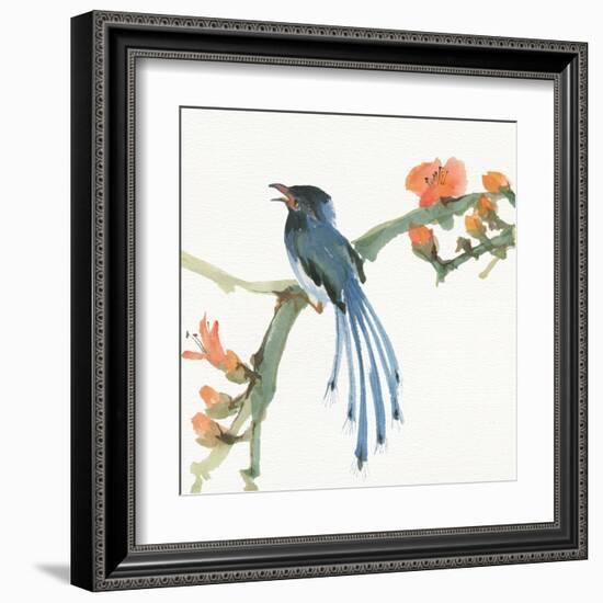 Formosan Blue Magpie-Chris Paschke-Framed Art Print