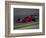 Formula Atlantic Racing Car Action-null-Framed Photographic Print