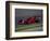 Formula Atlantic Racing Car Action-null-Framed Photographic Print